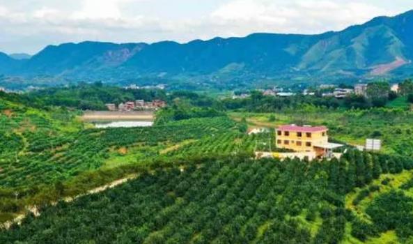 住陕全国政协委员：加强地理标志农产品保护 推进乡村产业振兴
